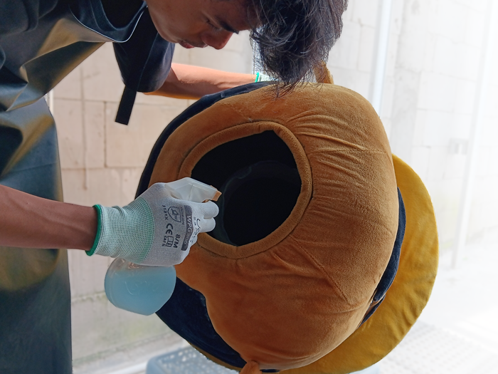 sanitizing costume mascot