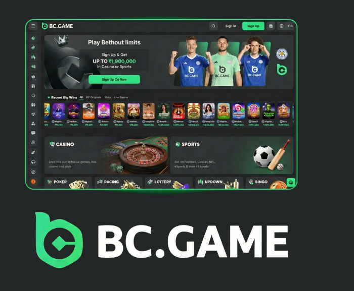Download the BC.Game App for a Unique Gaming Experience